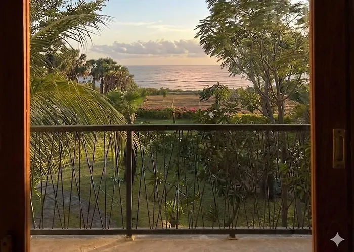 Palm Springs Bali Dive リゾート トゥランベン